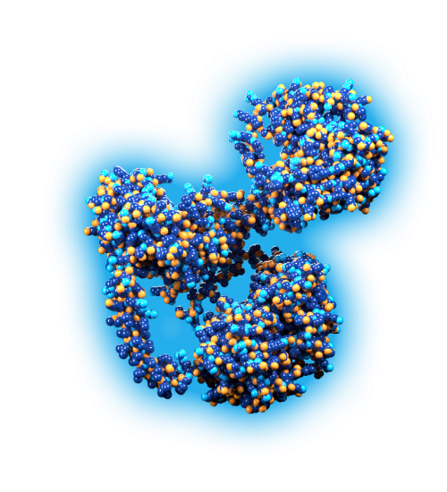 c1img3.png